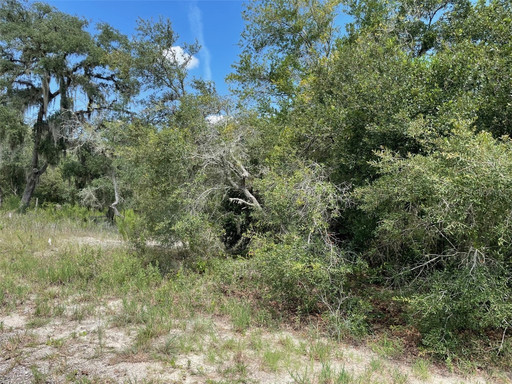 LOTS 462 & 463 SW Shorewood Drive Dunnellon FL 34431 OM708409 image7