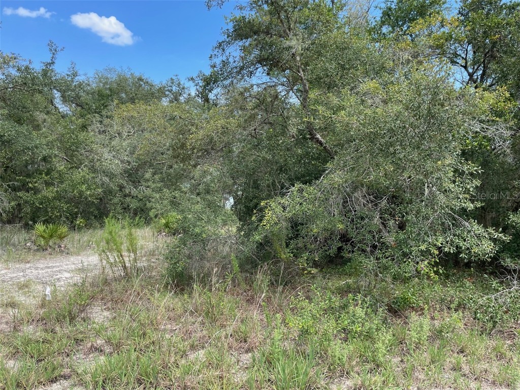 LOTS 462 & 463 SW Shorewood Drive Dunnellon FL 34431 OM708409 image8
