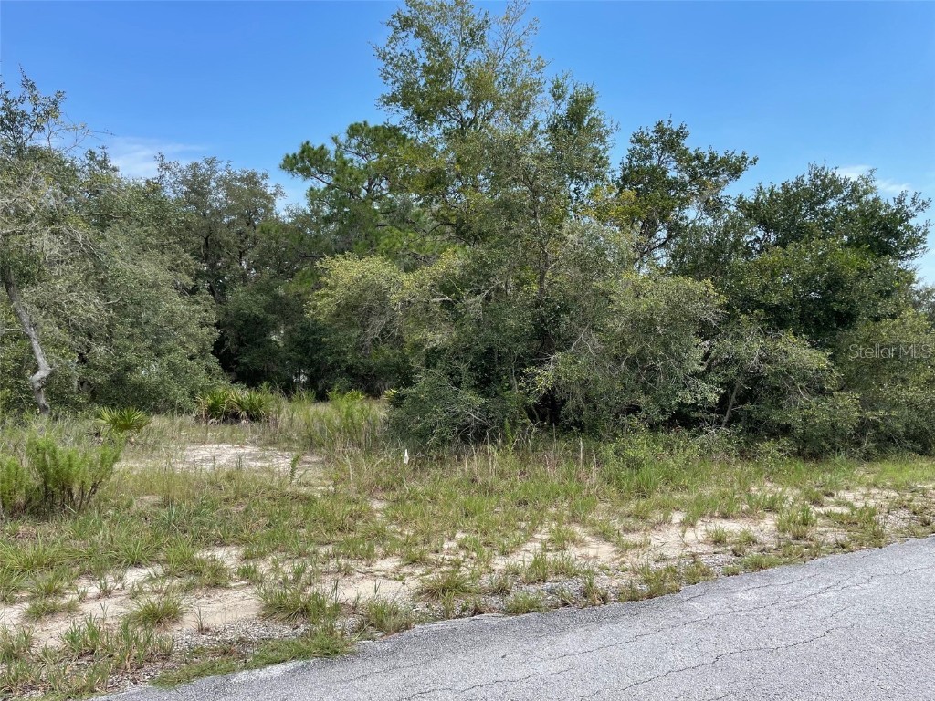 LOTS 462 & 463 SW Shorewood Drive Dunnellon FL 34431 OM708409 image9