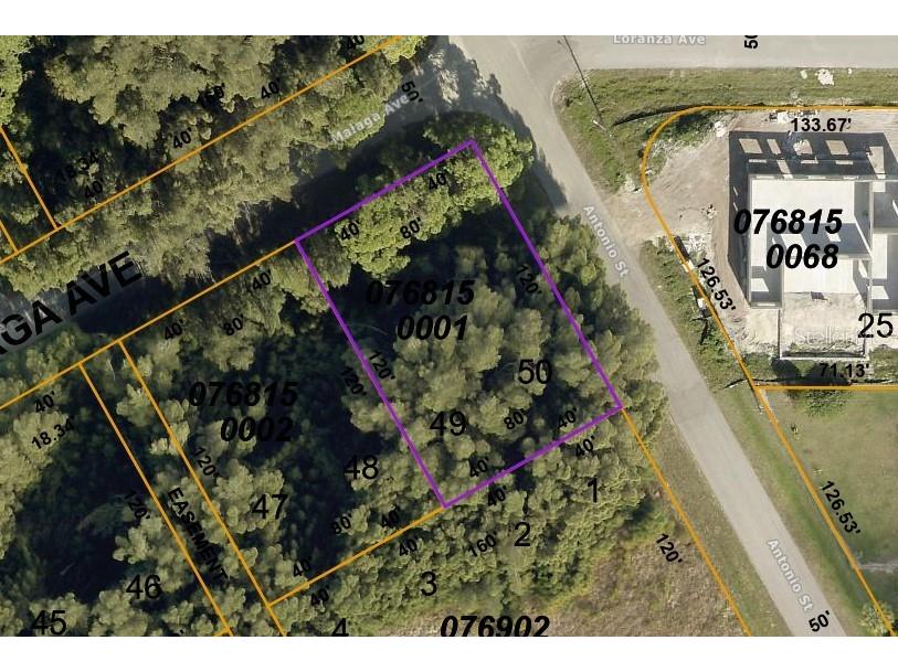 LOTS 49 & 50 Malaga Avenue North Port FL 34287 N6124403 image1