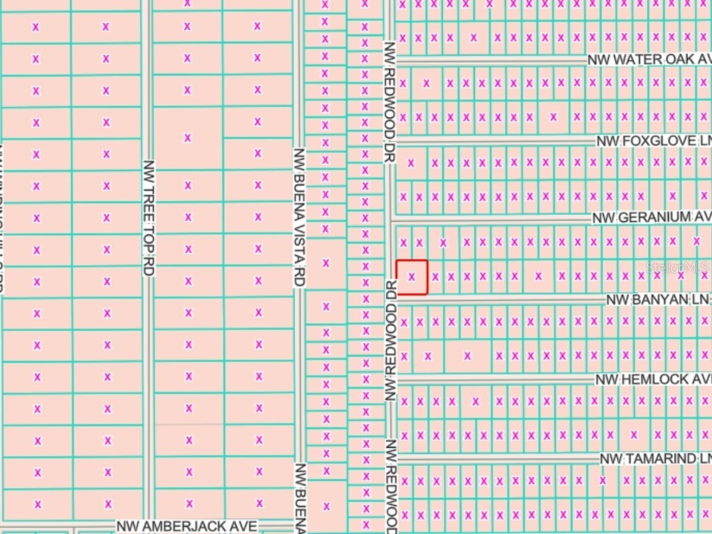 LOTS 65 & 66 NW Banyan Lane Dunnellon FL 34431 OM713332 image2