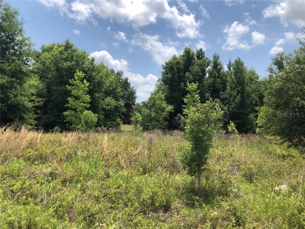 LOTS 782526 SW 112th Place Dunnellon FL 34432 OM678294 image1