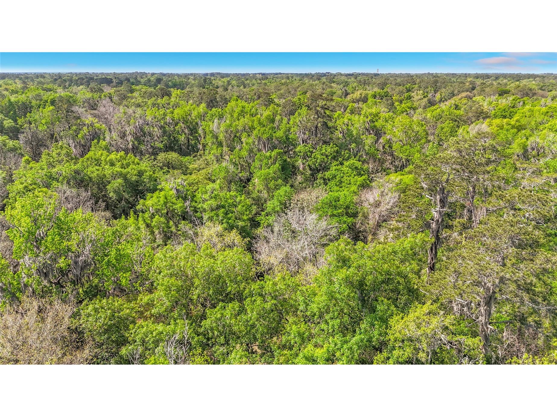 Lot 000 NW 39th Avenue Gainesville FL 32606 TB8493121 image10