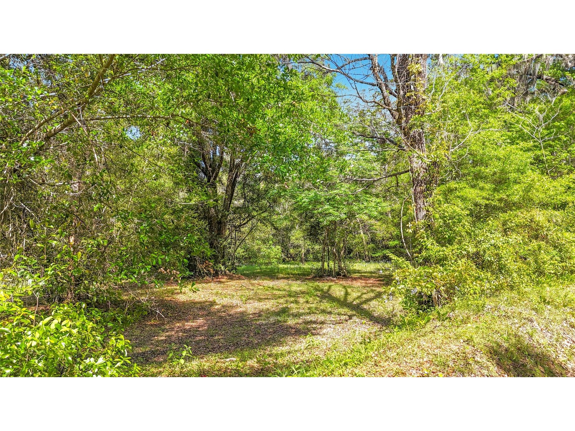 Lot 000 NW 39th Avenue Gainesville FL 32606 TB8493121 image8