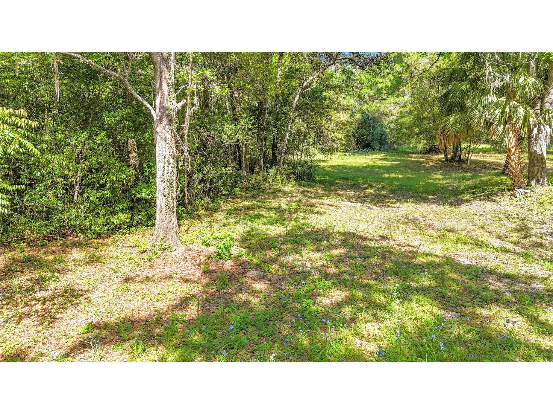 Lot 001 NW 37th Drive Gainesville FL 32606 TB8493129 image7