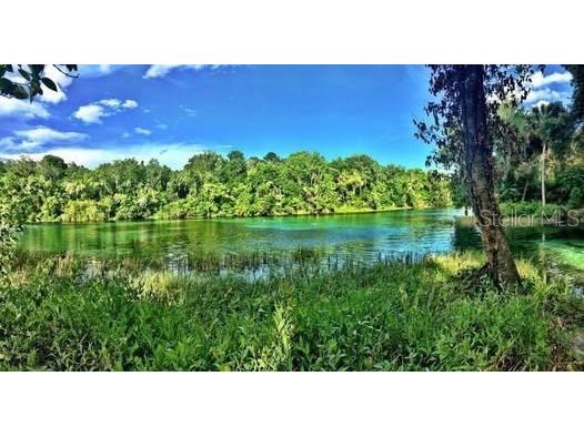 Lot 001 SW 207th Circle Dunnellon FL 34431 - RAINBOW RIVER OM713219 image3