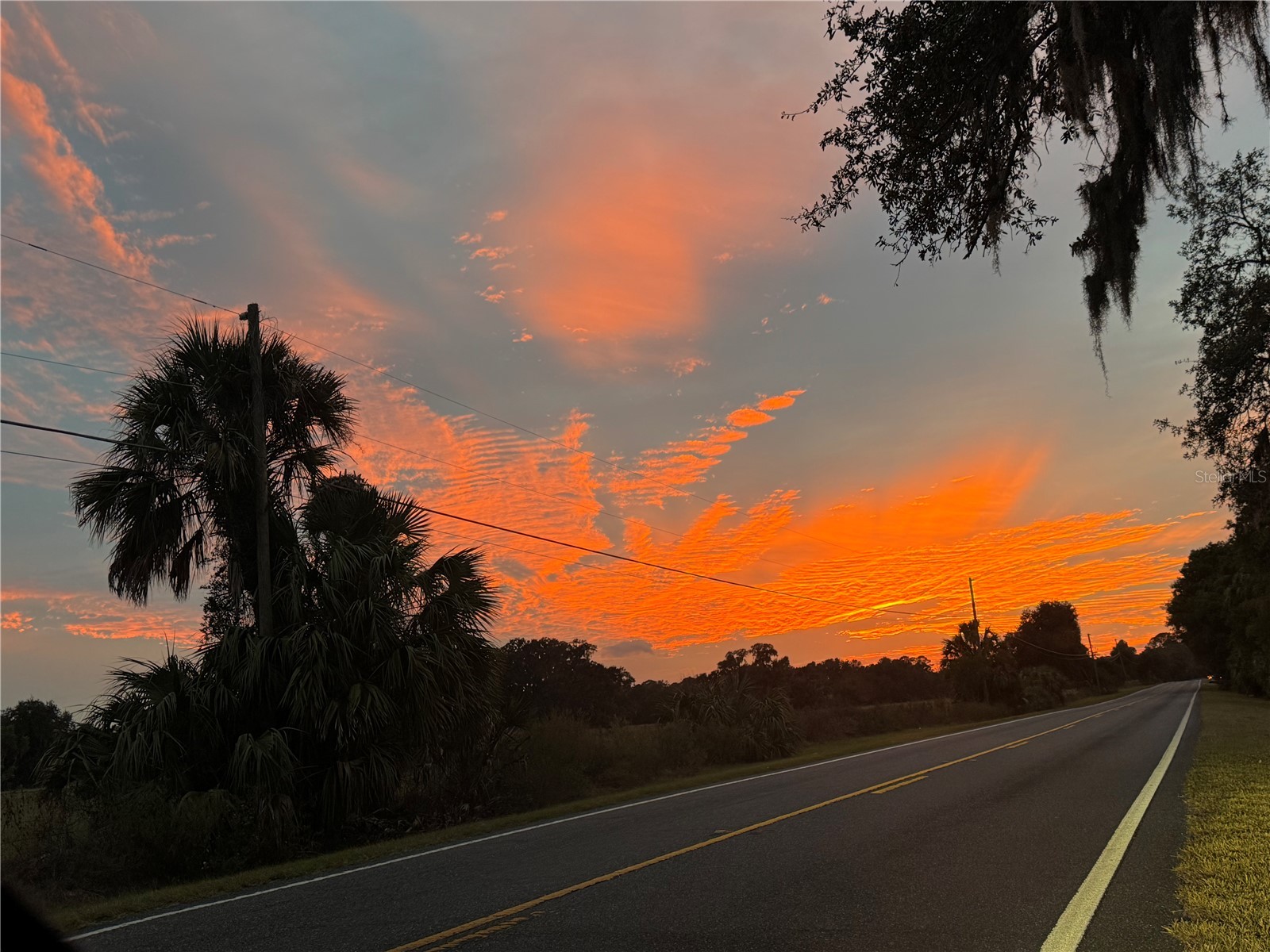 Lot 001 SW 207th Circle Dunnellon FL 34431 - RAINBOW RIVER OM713219 image5