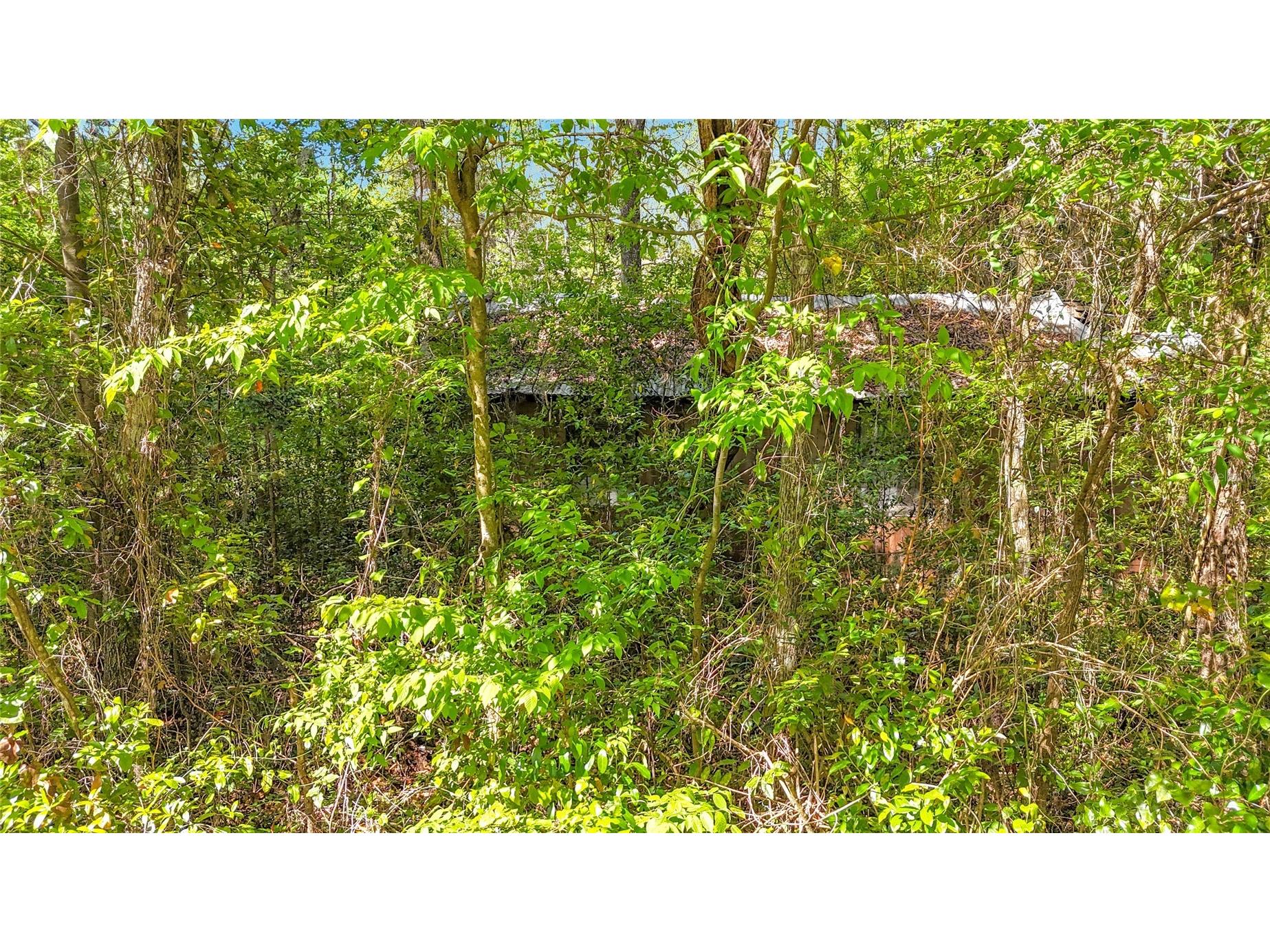 Lot 002 NW 37th Drive Gainesville FL 32606 TB8493135 image9