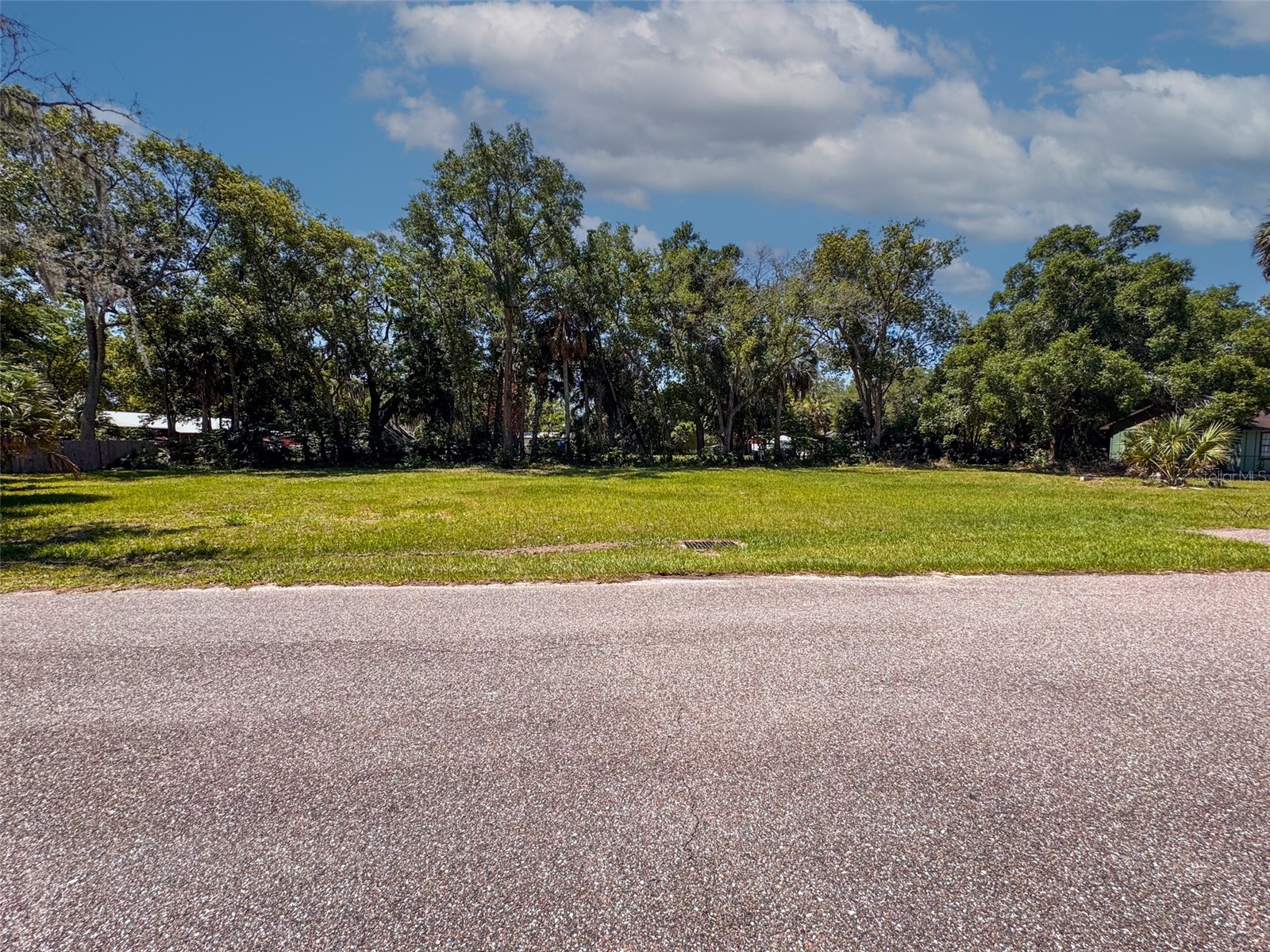 Lot 00200 Lenord Street Umatilla FL 32784 G5112213 image2
