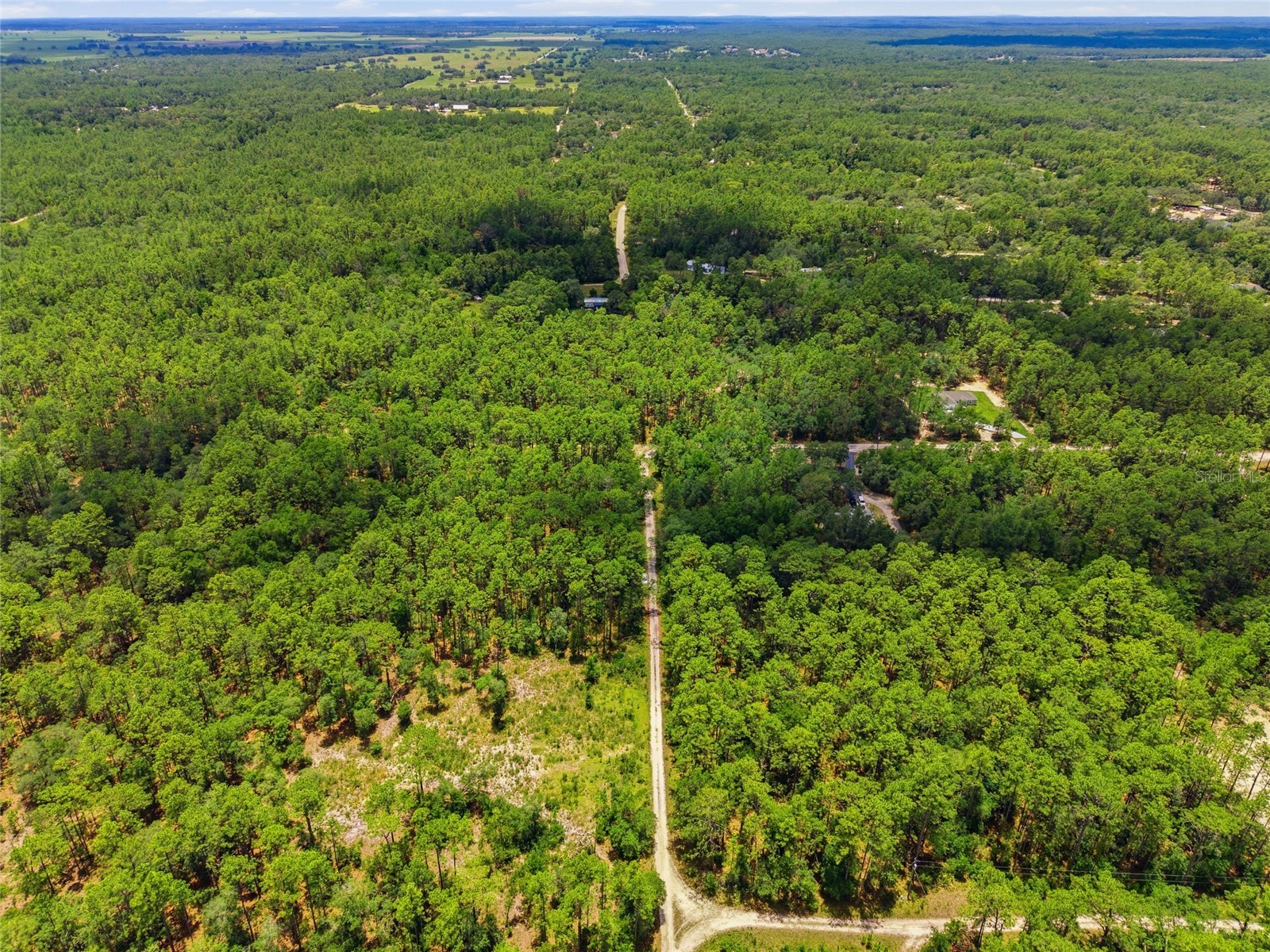 Lot 02 SW 175th Terrace Dunnellon FL 34432 OM711578 image18