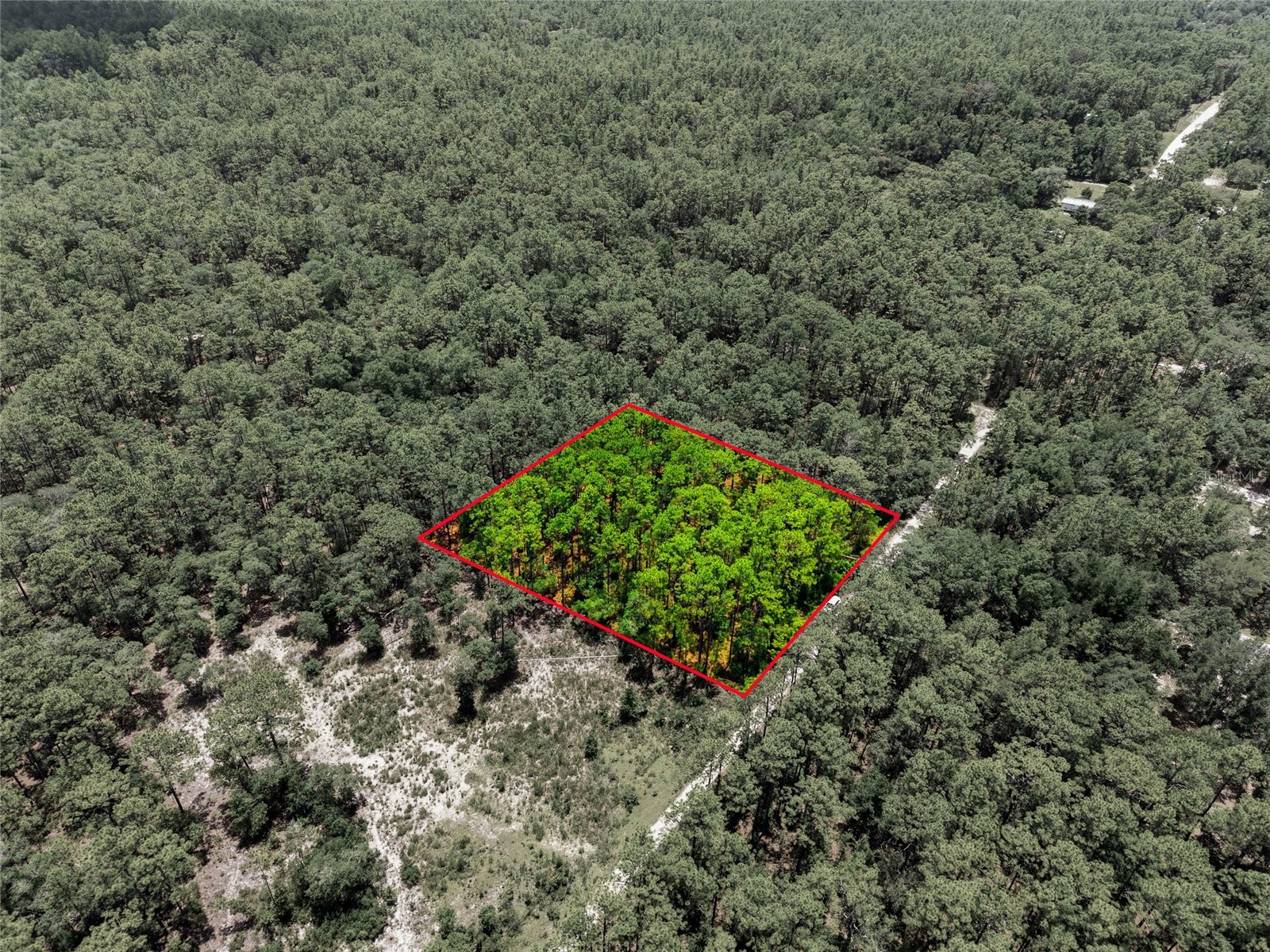 Lot 02 SW 175th Terrace Dunnellon FL 34432 OM711578 image19