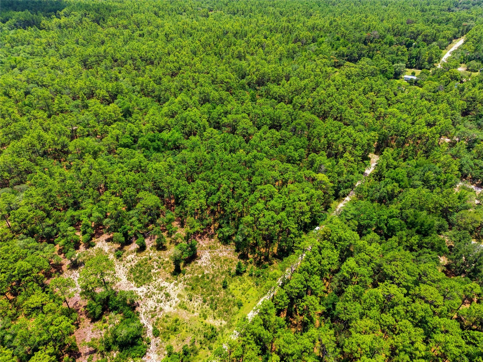 Lot 02 SW 175th Terrace Dunnellon FL 34432 OM711578 image20