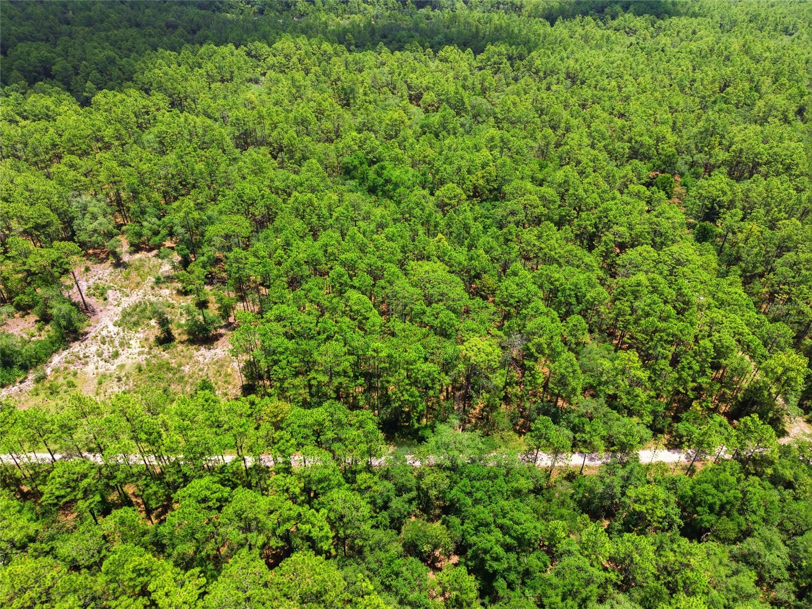 Lot 02 SW 175th Terrace Dunnellon FL 34432 OM711578 image21