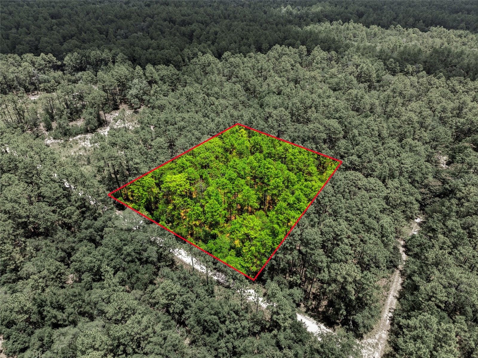 Lot 02 SW 175th Terrace Dunnellon FL 34432 OM711578 image22