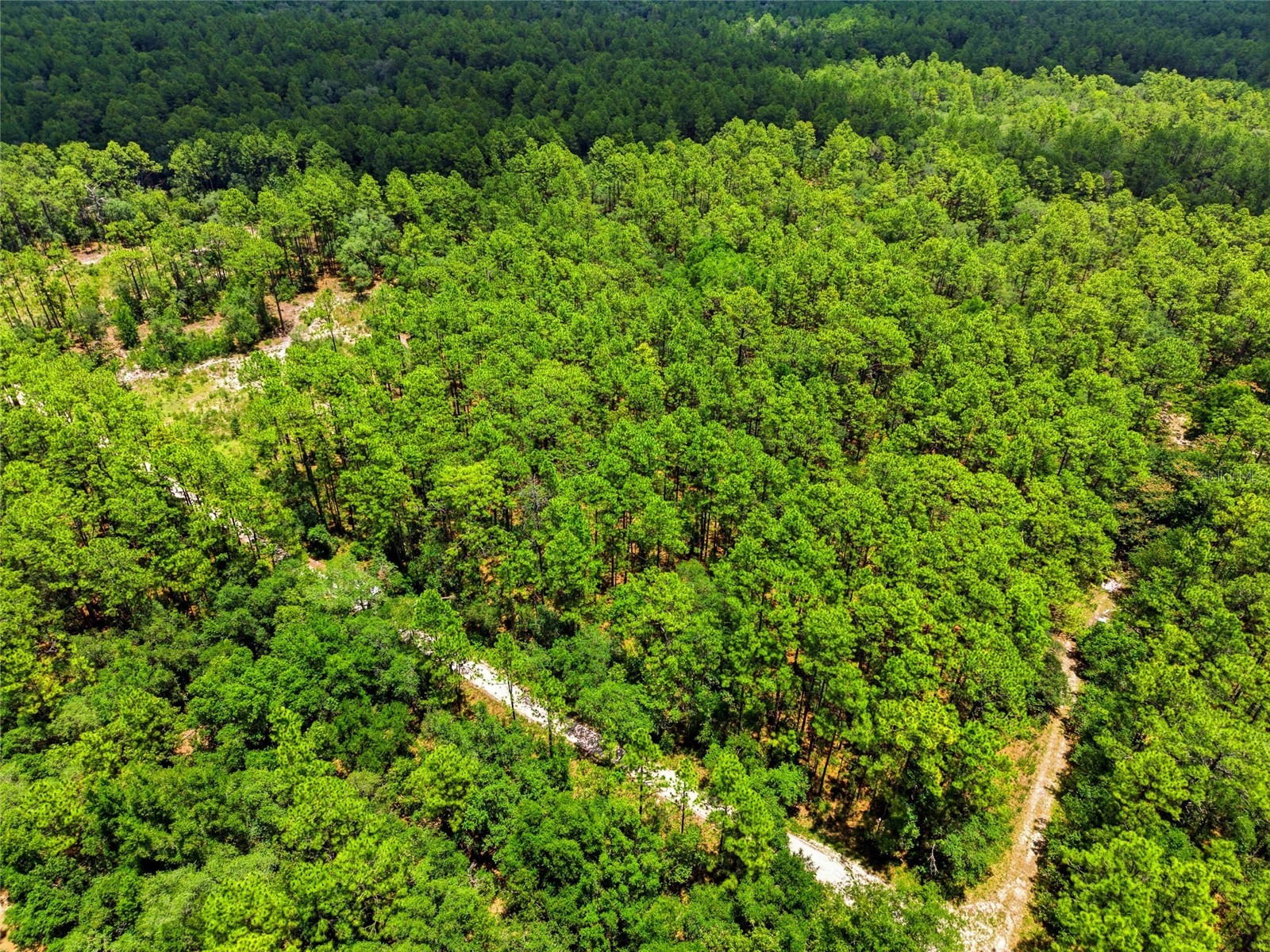 Lot 02 SW 175th Terrace Dunnellon FL 34432 OM711578 image23