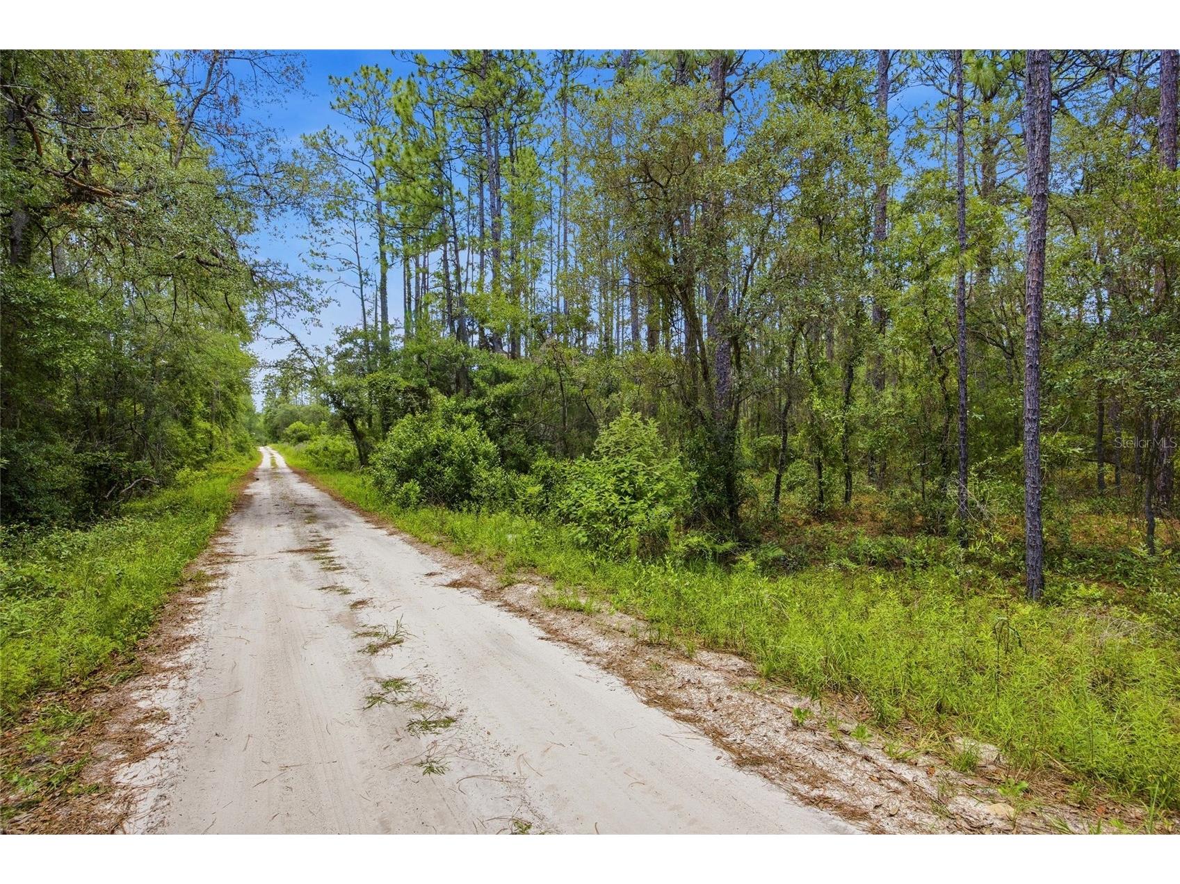 Lot 02 SW 175th Terrace Dunnellon FL 34432 OM711578 image3