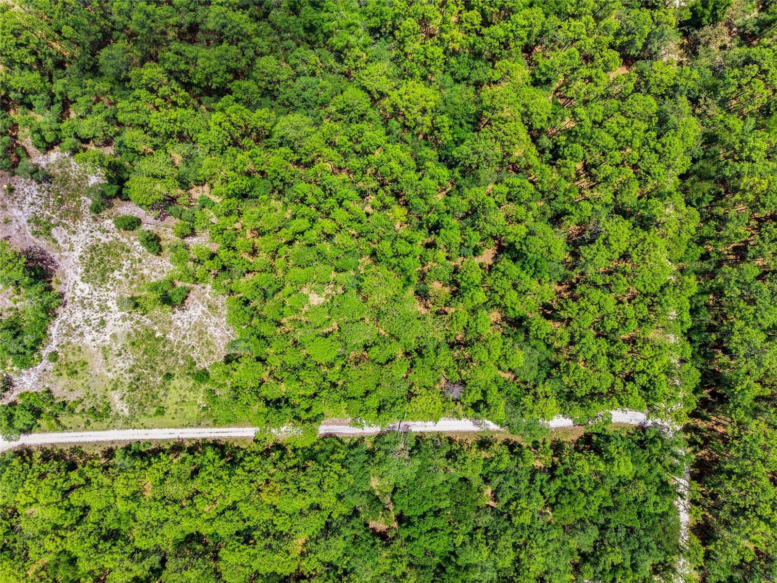 Lot 02 SW 175th Terrace Dunnellon FL 34432 OM711578 image4