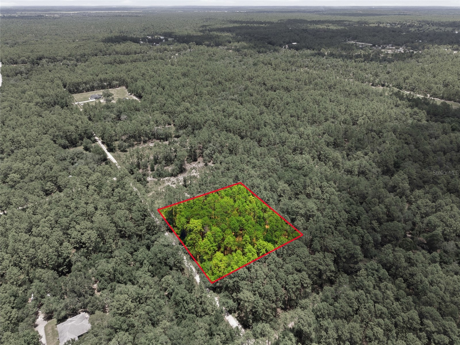 Lot 02 SW 175th Terrace Dunnellon FL 34432 OM711578 image7