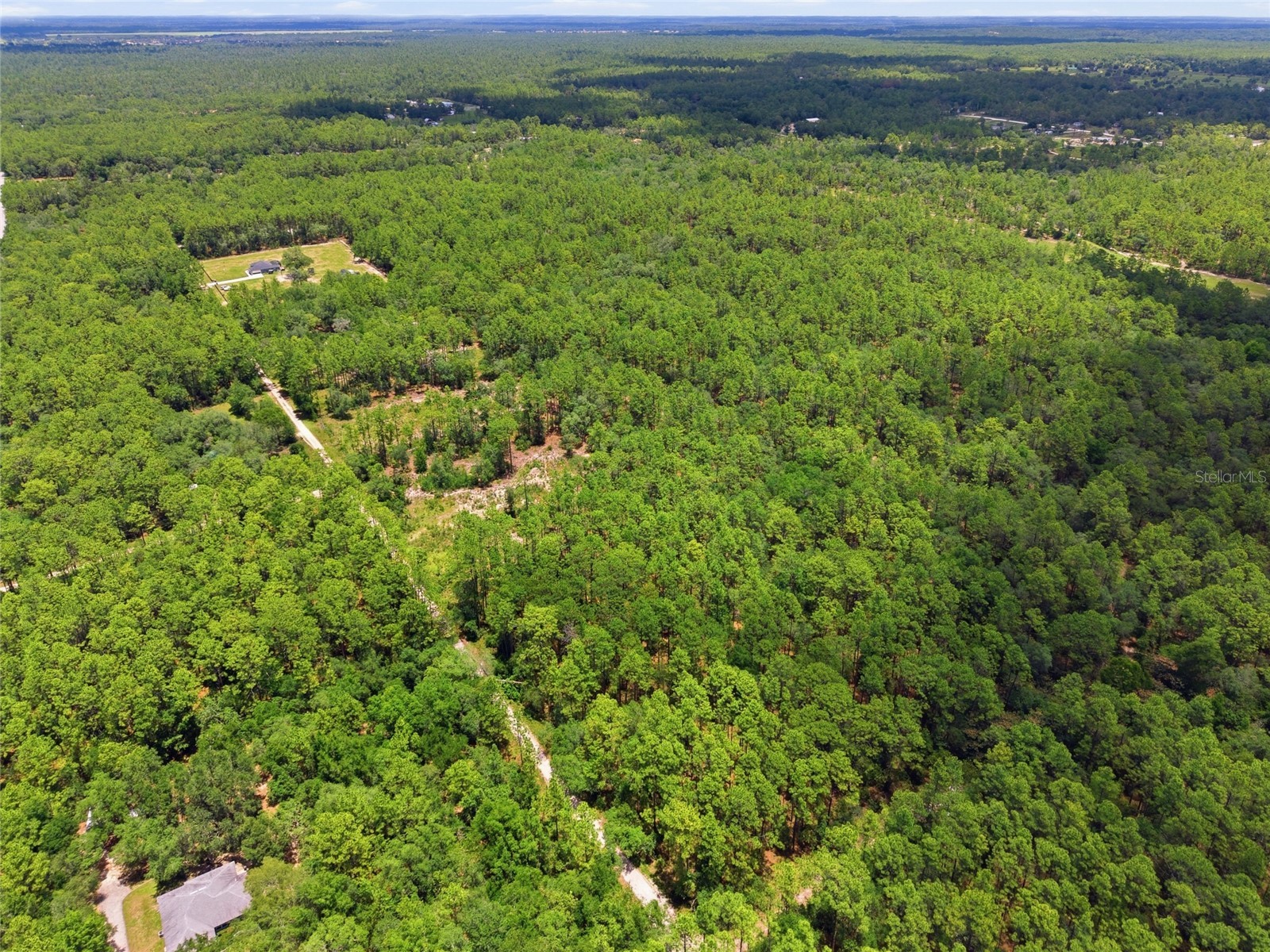 Lot 02 SW 175th Terrace Dunnellon FL 34432 OM711578 image8