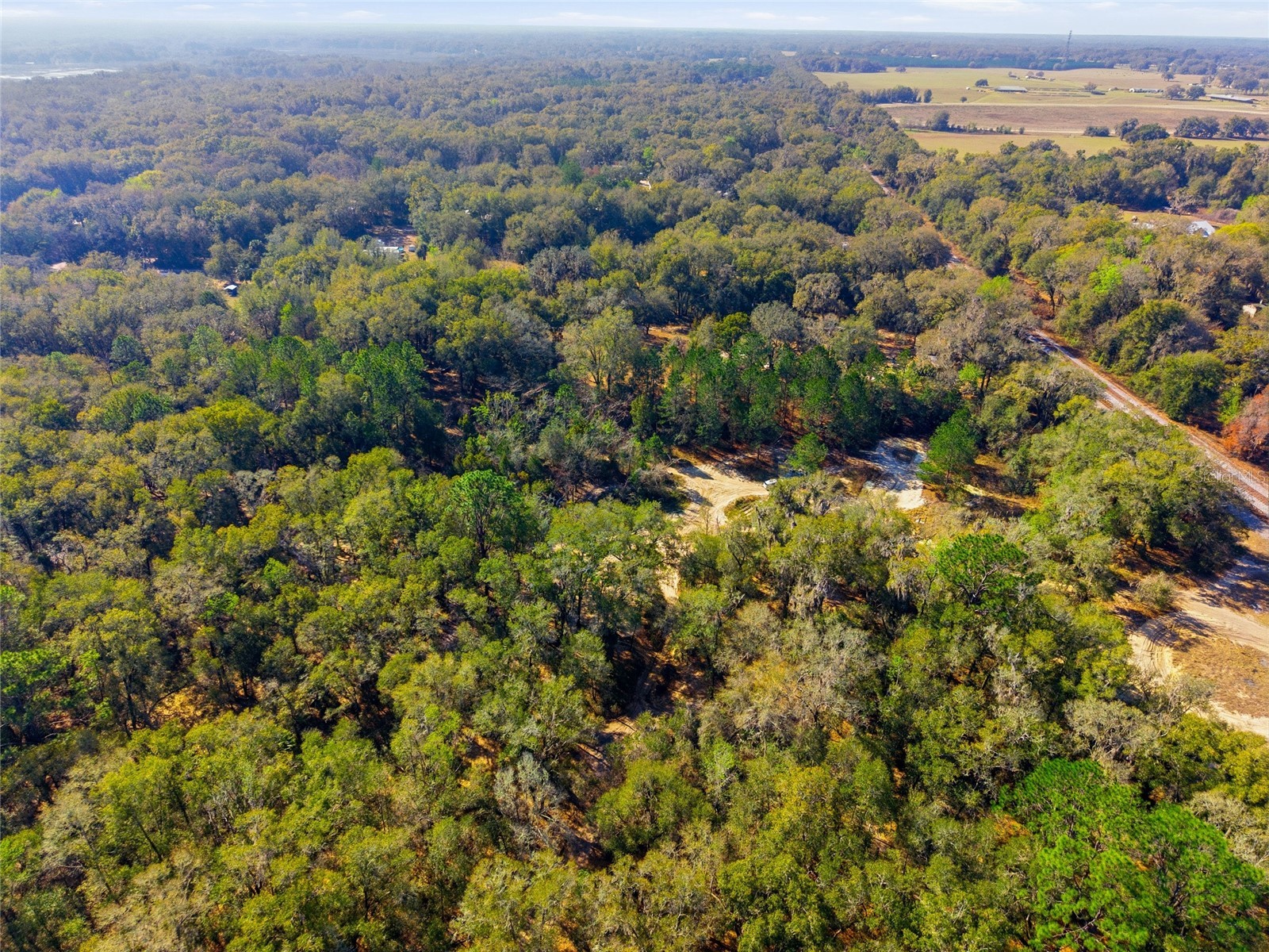 Lot 026 NE 164th Lane Citra FL 32113 OM719212 image22