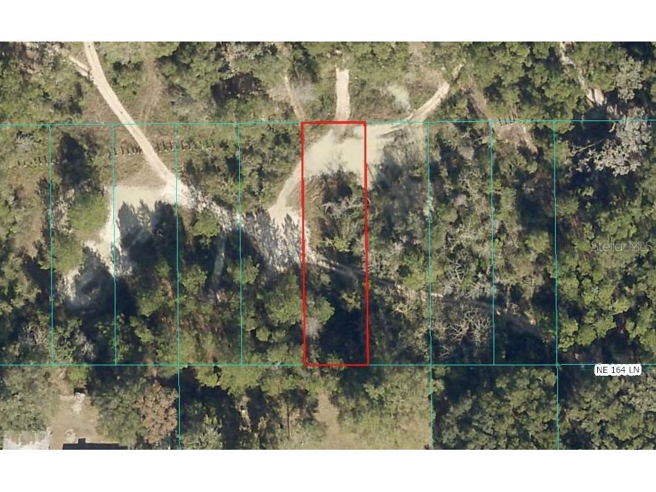 Lot 026 NE 164th Lane Citra FL 32113 OM719212 image3