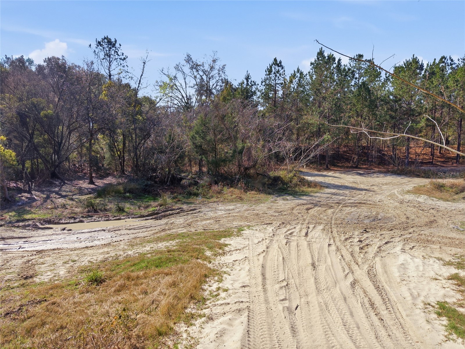 Lot 027 NE 164th Lane Citra FL 32113 OM719216 image34