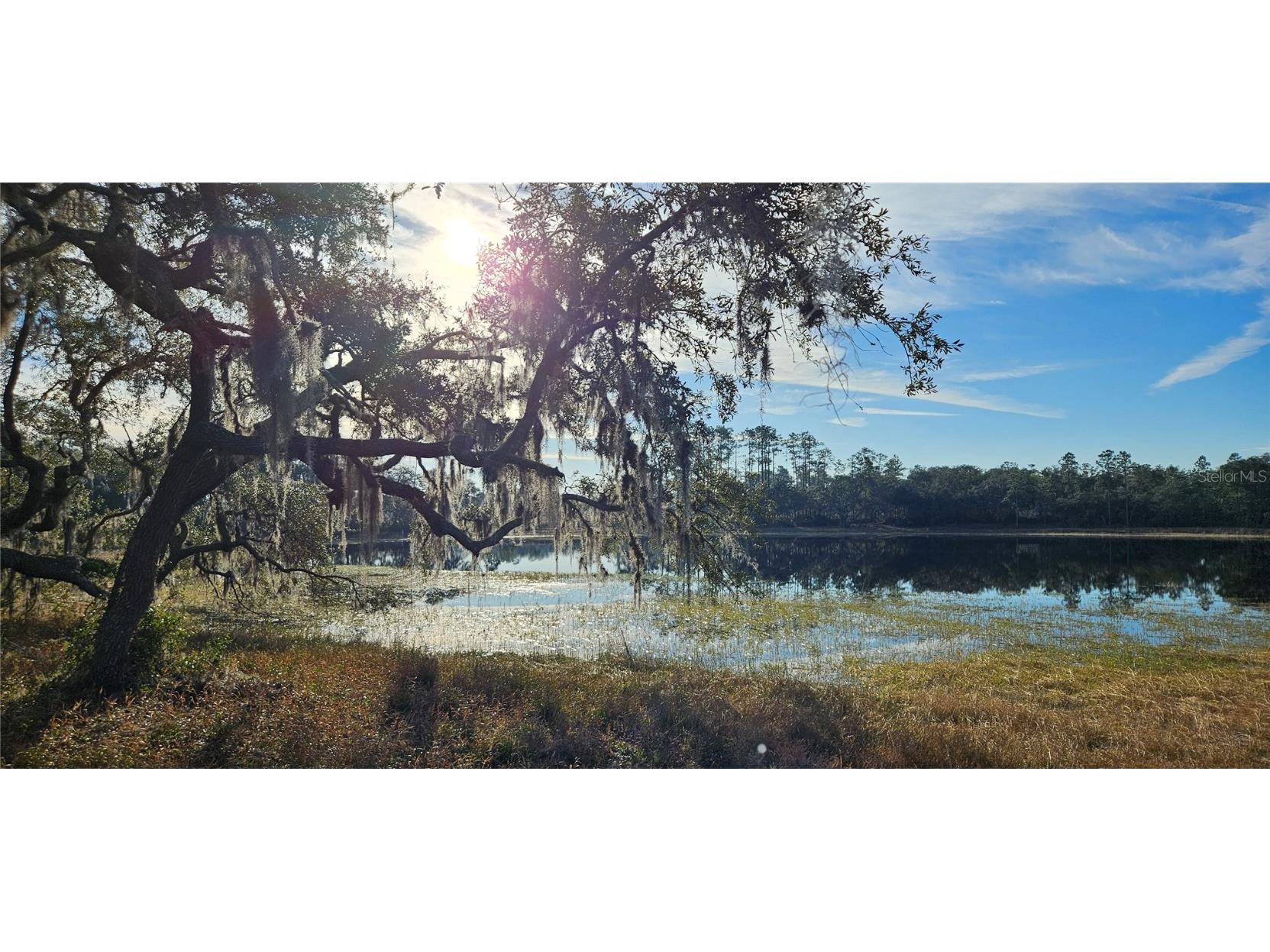 Lot 1 - 10.05ac E Hwy 318 Citra FL 32113 - PRIVATE SPRING FED POND OM695349 image1