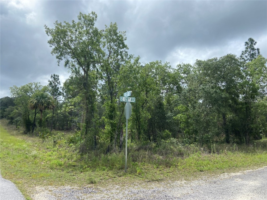 Lot 1 128th Dunnellon FL 34431 A4572547 image1