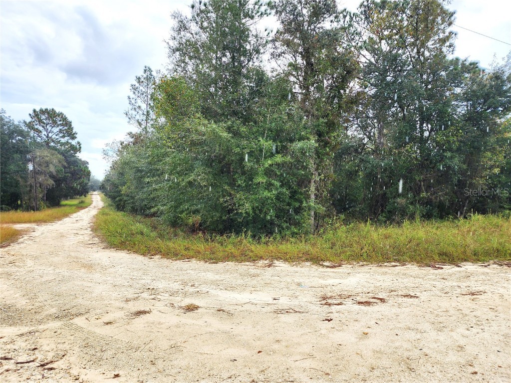 Lot 1 Blk J NE 64th Place Williston FL 32696 OM647338 image1