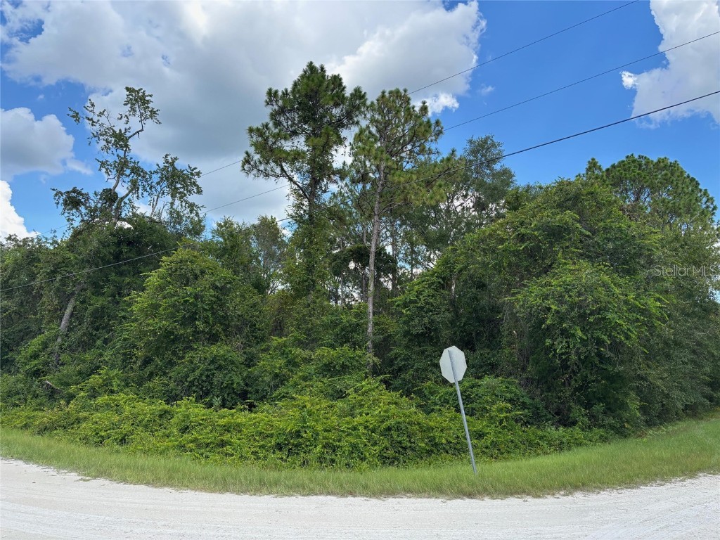 Lot 1 Canvasback Road Brooksville FL 34614 W7878015 image1