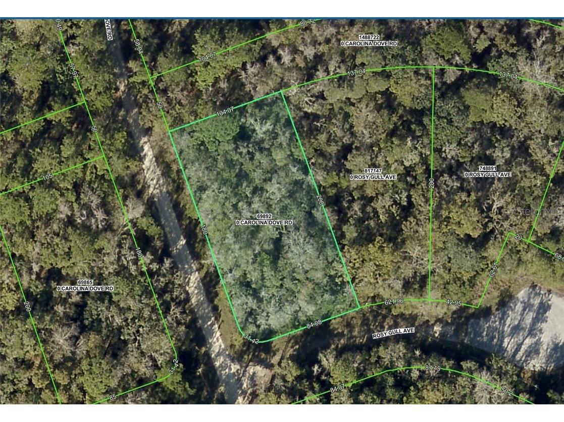 Lot 1 Carolina Dove Road Brooksville FL 34614 W7871411 image1