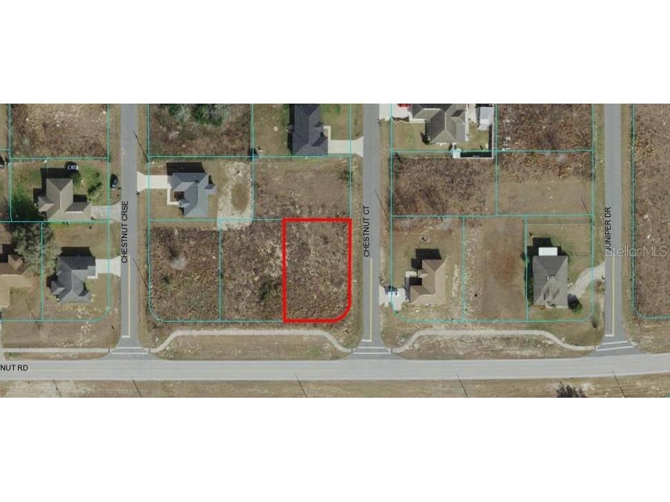 Lot 1 Chestnut Road Ocala FL 34480 OM667204 image1