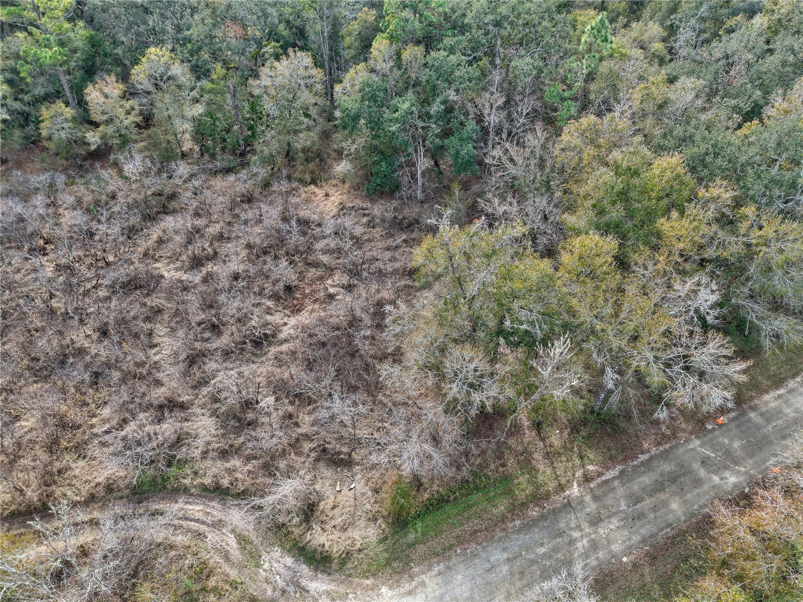 Lot 1 Chipstone Street Webster FL 33597 A4677691 image11