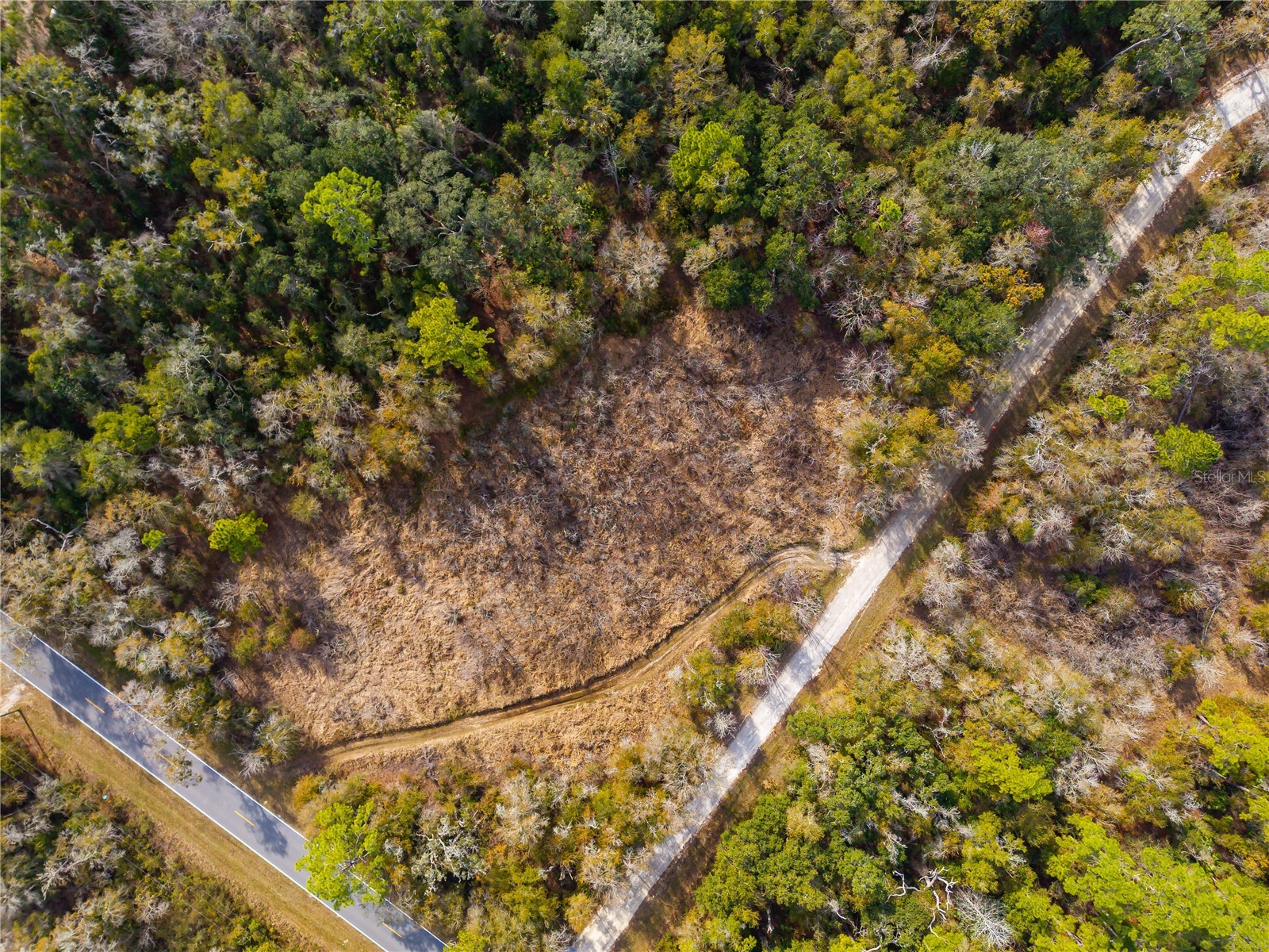 Lot 1 Chipstone Street Webster FL 33597 A4677691 image12