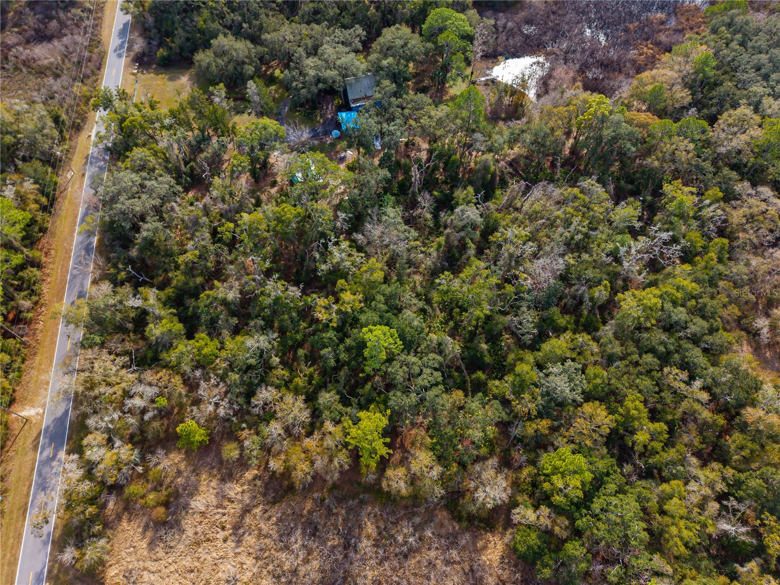 Lot 1 Chipstone Street Webster FL 33597 A4677691 image13