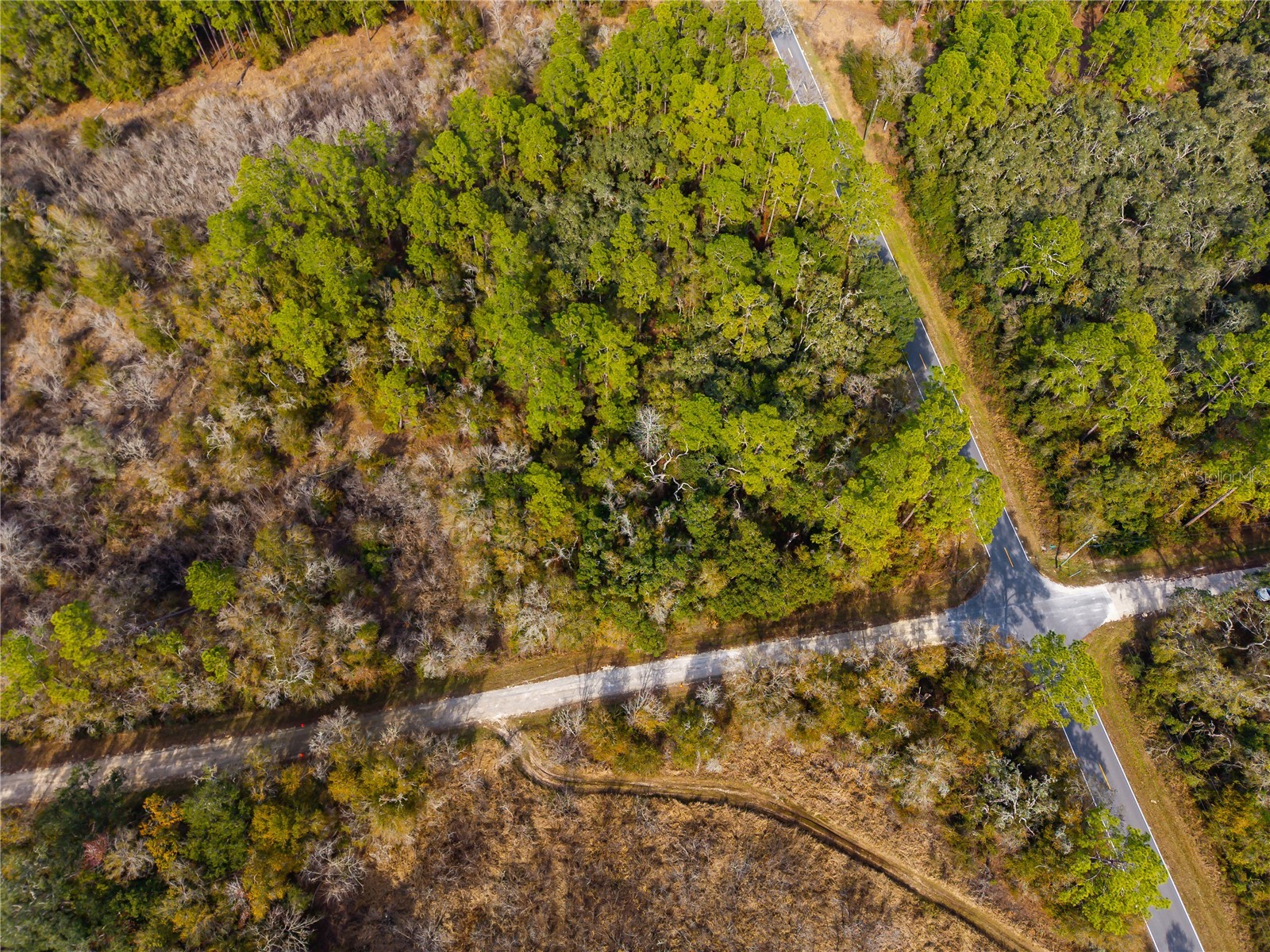 Lot 1 Chipstone Street Webster FL 33597 A4677691 image15