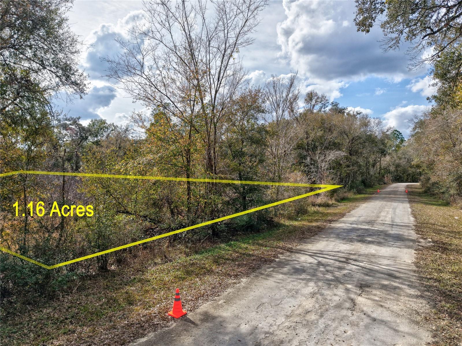 Lot 1 Chipstone Street Webster FL 33597 A4677691 image3
