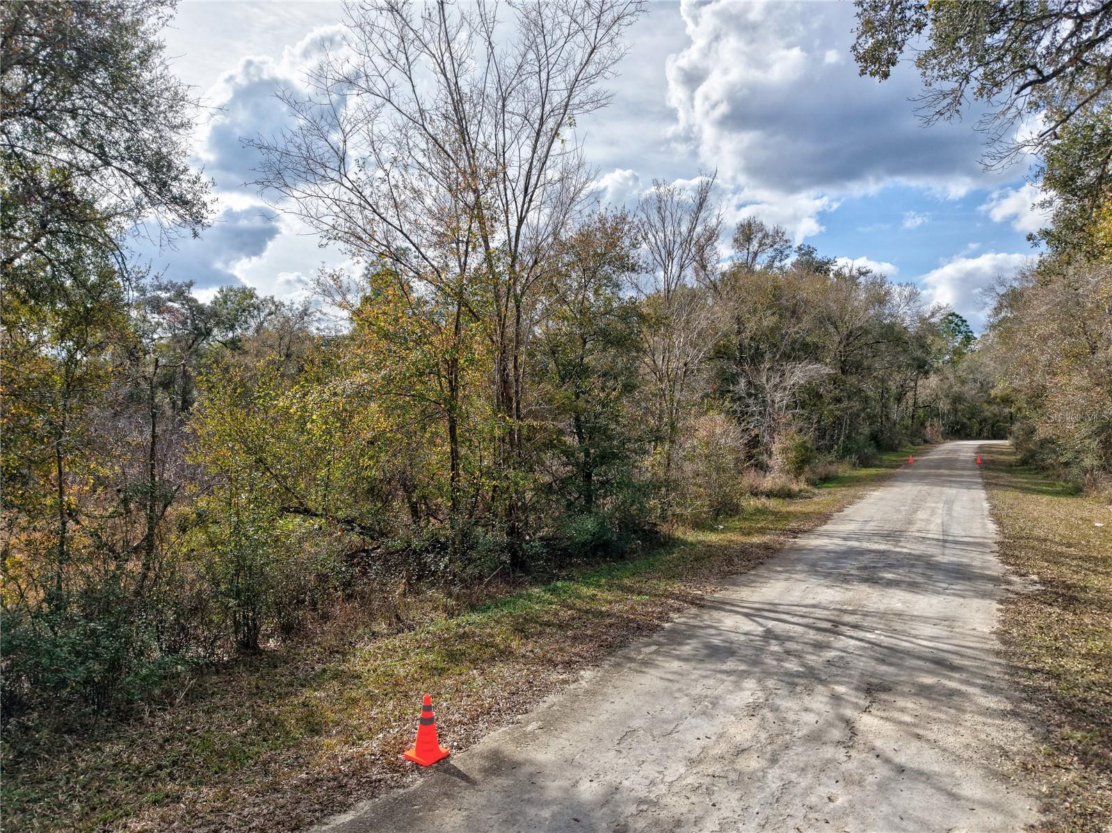 Lot 1 Chipstone Street Webster FL 33597 A4677691 image4