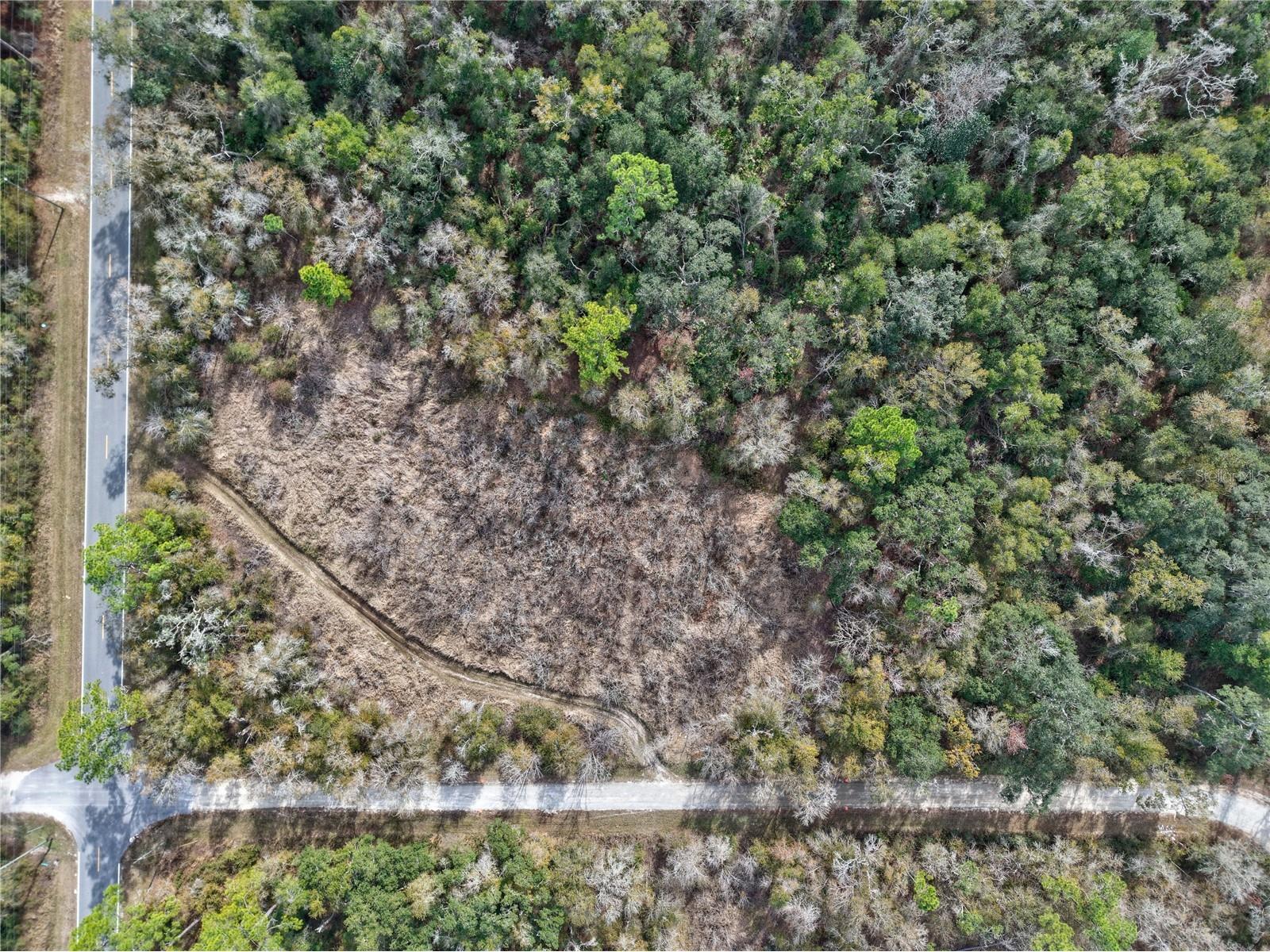 Lot 1 Chipstone Street Webster FL 33597 A4677691 image5