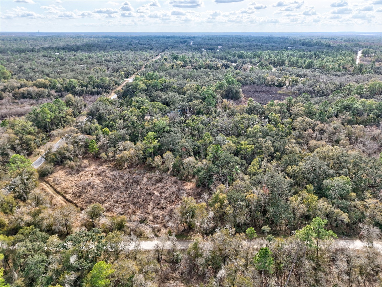 Lot 1 Chipstone Street Webster FL 33597 A4677691 image6