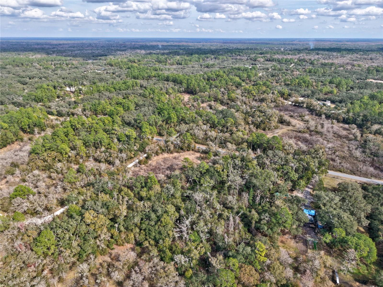 Lot 1 Chipstone Street Webster FL 33597 A4677691 image8