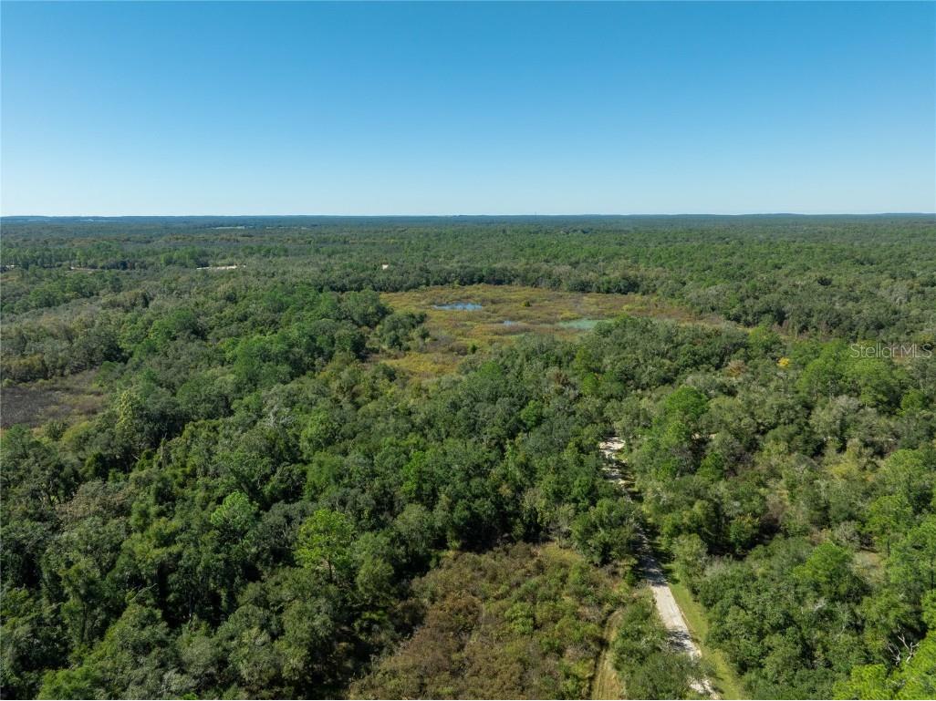 Lot 1 Chipstone Street Webster FL 33597 C7517202 image10
