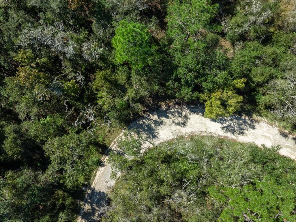 Lot 1 Chipstone Street Webster FL 33597 C7517202 image11