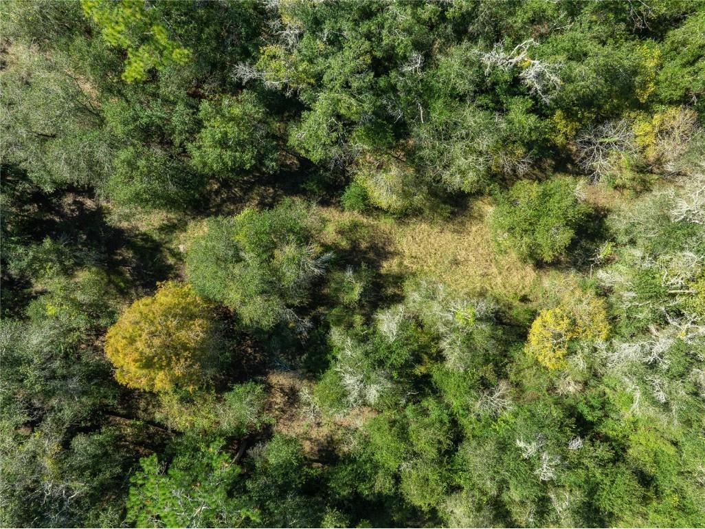 Lot 1 Chipstone Street Webster FL 33597 C7517202 image12