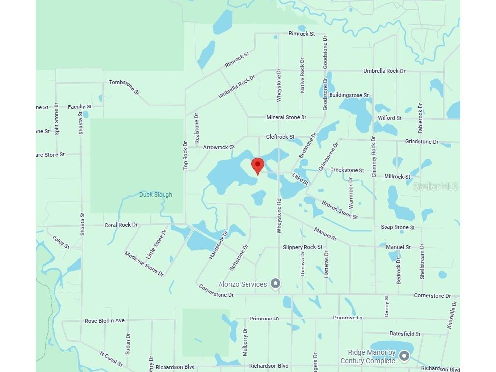 Lot 1 Chipstone Street Webster FL 33597 C7517202 image14