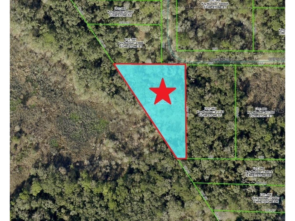 Lot 1 Chipstone Street Webster FL 33597 C7517202 image2