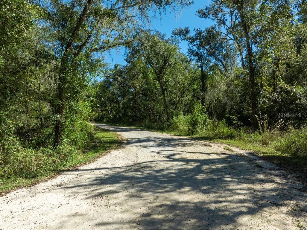 Lot 1 Chipstone Street Webster FL 33597 C7517202 image3