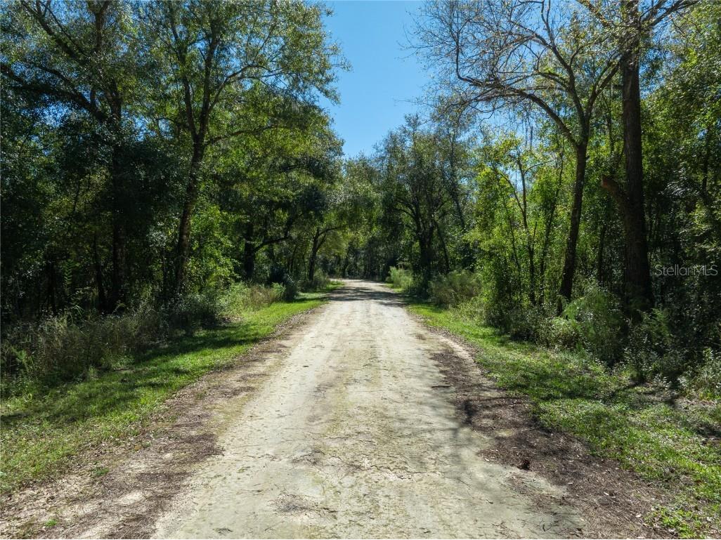 Lot 1 Chipstone Street Webster FL 33597 C7517202 image4