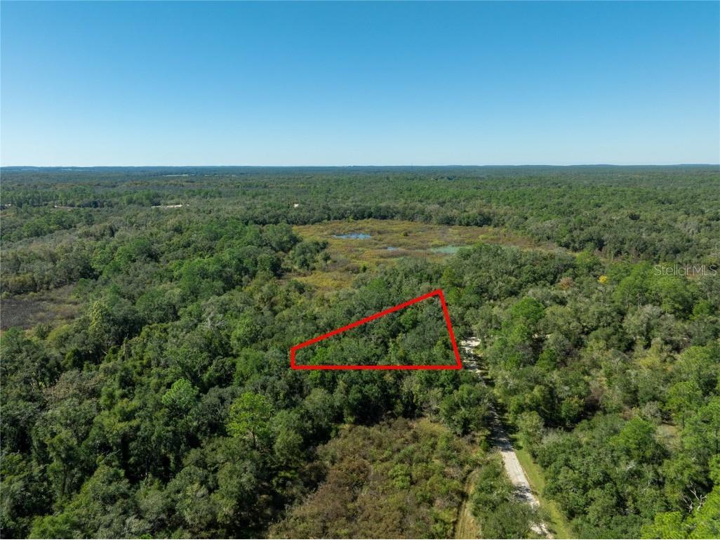Lot 1 Chipstone Street Webster FL 33597 C7517202 image5