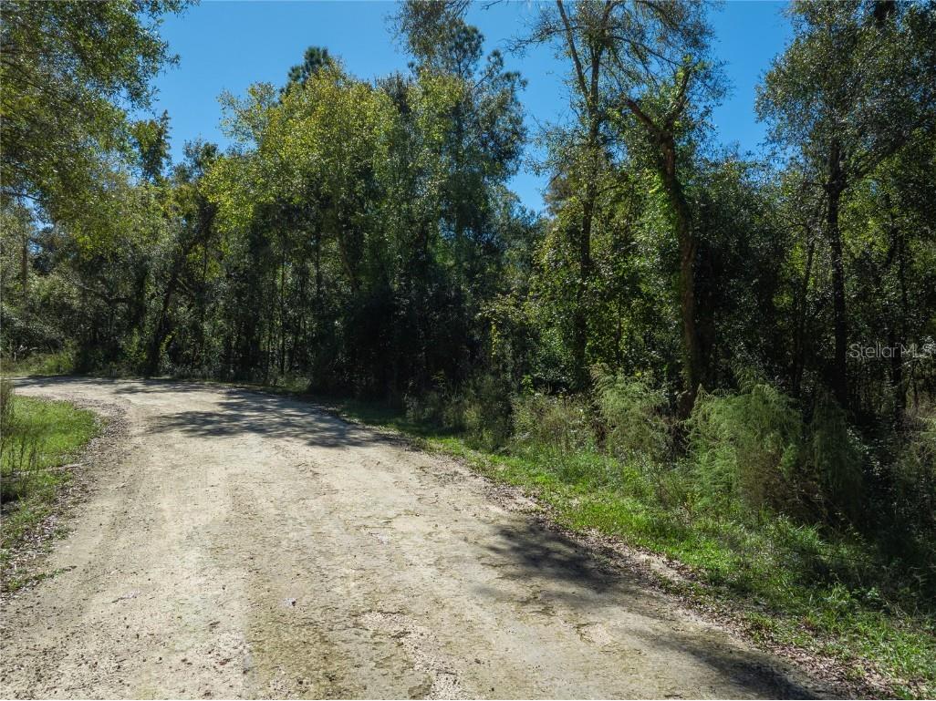 Lot 1 Chipstone Street Webster FL 33597 C7517202 image6